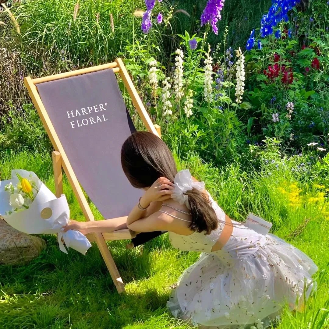 抄家后她娇入骨战神王爷偏要宠